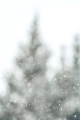 ��ʮ�Ľ��� �C ������12��21-23�գ�